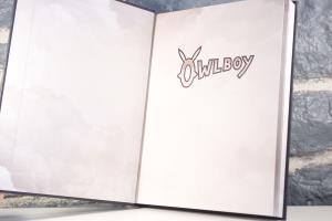 Owlboy Edition Collector (29)